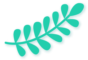 icono ZEN Distribuidores